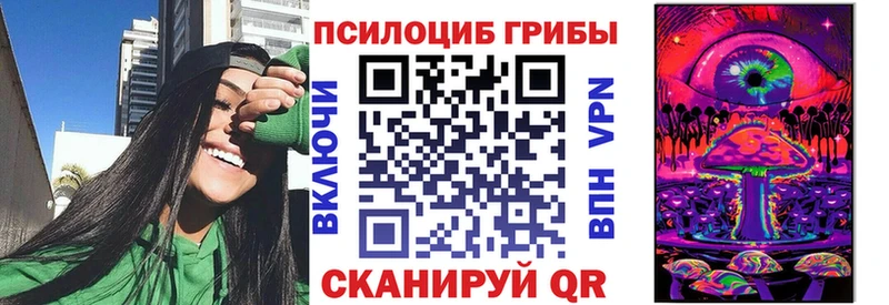 наркота  Шатура  Псилоцибиновые грибы ЛСД 